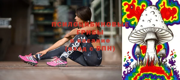 скорость Лагань
