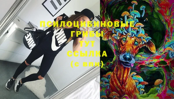 прущая мука Ладушкин