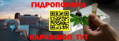 скорость Будённовск