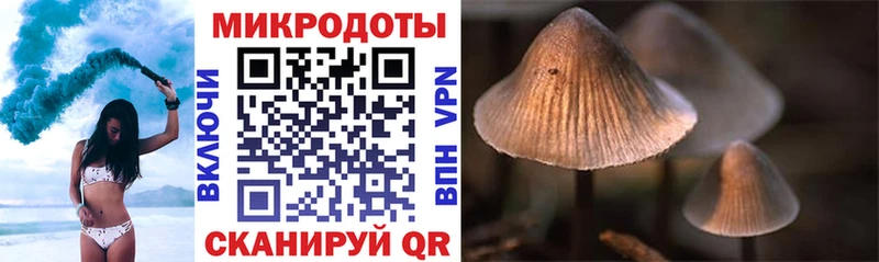 даркнет сайт  Волжский  Галлюциногенные грибы Psilocybe 