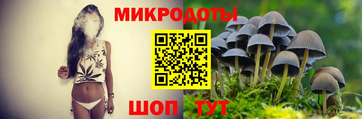 Волжский  Галлюциногенные грибы Psilocybe  Вход с VPN 